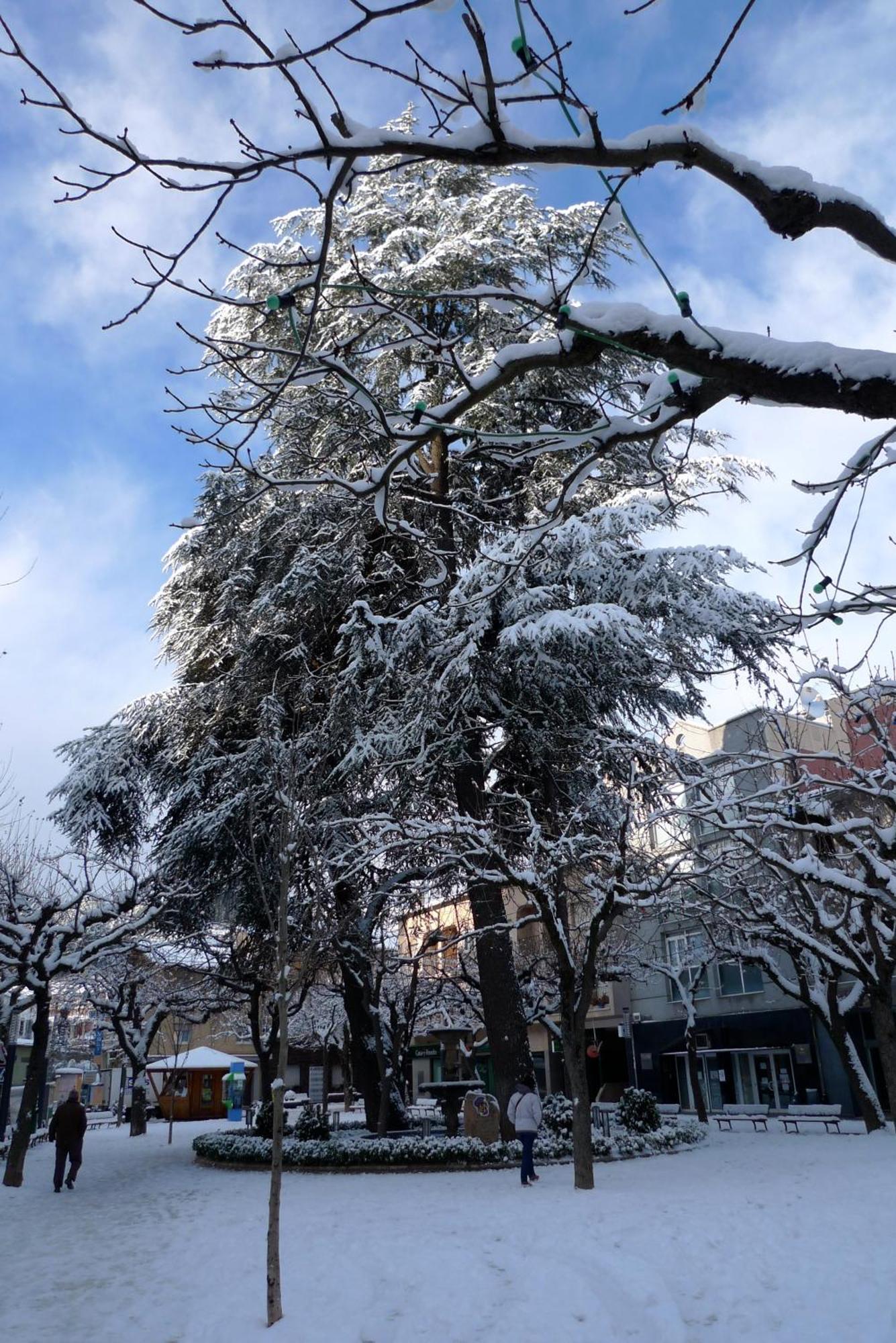 Hotel Ripoll 산트힐라리사캄 외부 사진